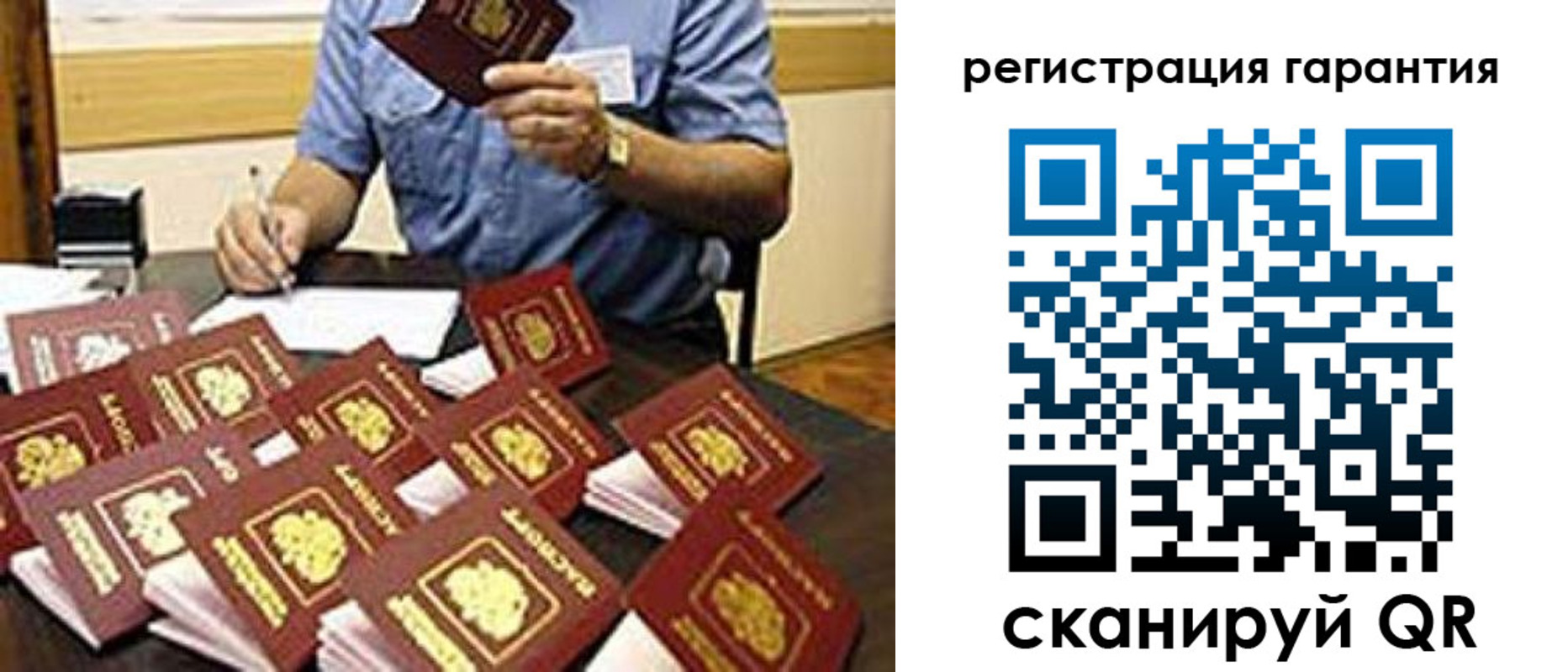 регистрация для школы в Светлогорске