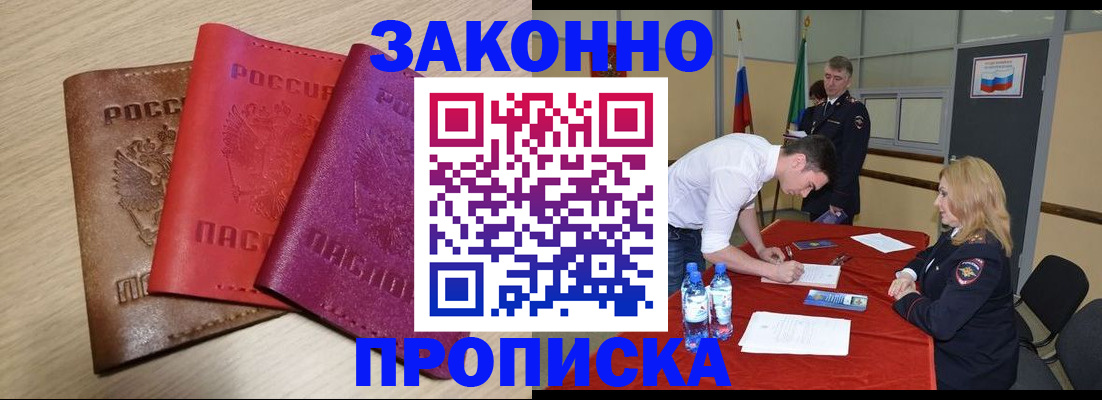 прописка 2025 в Светлогорске